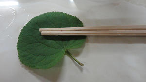 18.07 葉っぱの箸置きs.jpg