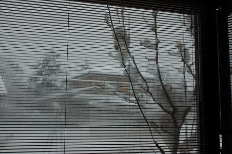 お風呂場からの雪景色.jpg