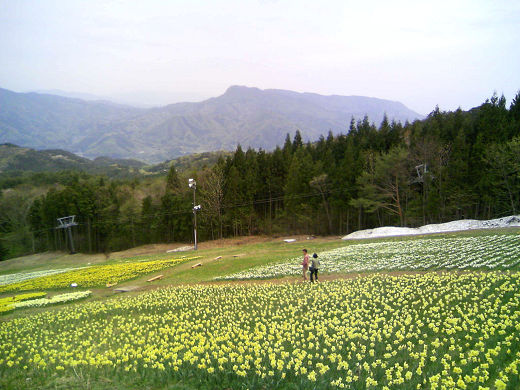 100510_1236 三峰山s.jpg