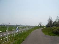 20100521_07.jpg
