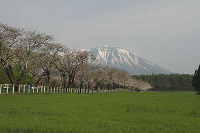 20090502小岩井04.jpg