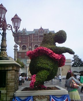 DVC00298.JPG