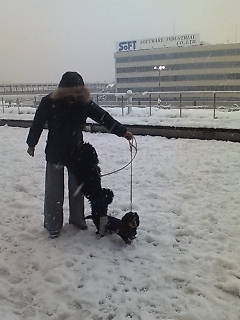 20080209雪