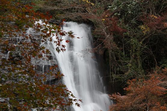 晩秋の箕面大滝7