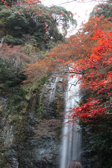 晩秋の箕面大滝10