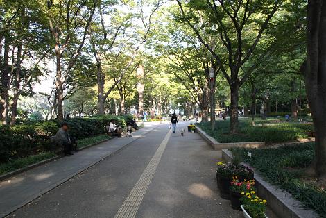 うつぼ公園・ケヤキ並木