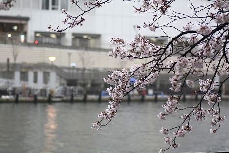 雨に煙る水の都・大阪３