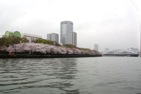 雨に煙る水の都・大阪４