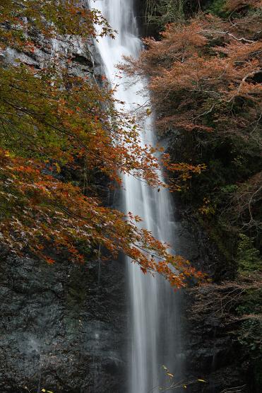 晩秋の箕面大滝2