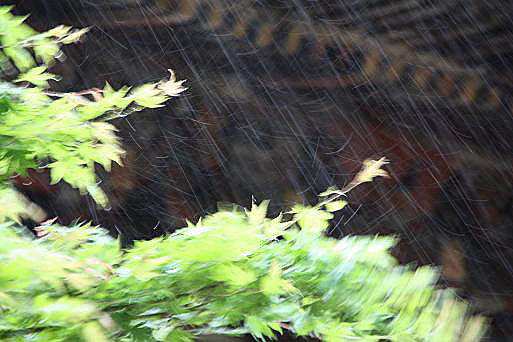 雨の高野山６