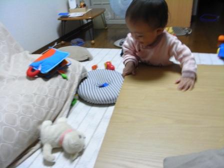 追いかけて