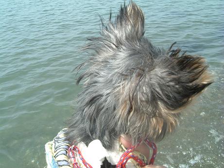 きな海３DSCF0008.JPG