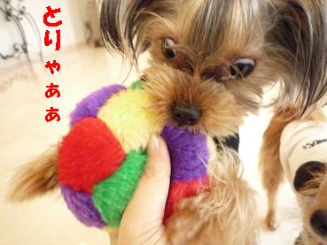 １ひんむきP1000522.JPG