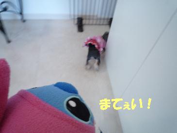 １にげる２P1000117.JPG