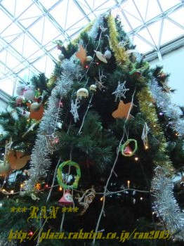 ツリー2　☆　2009/12/24