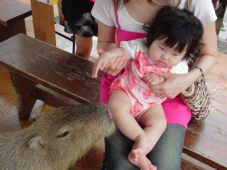 2010-07-10 23:25:36