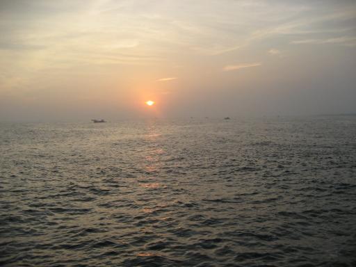 IMG_0050.JPG