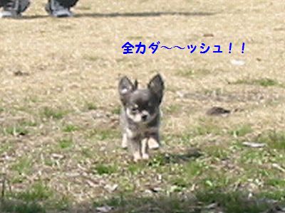 0318D.jpg