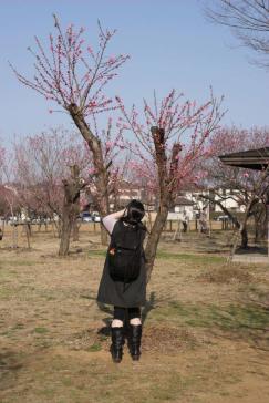 DSC00064.JPG