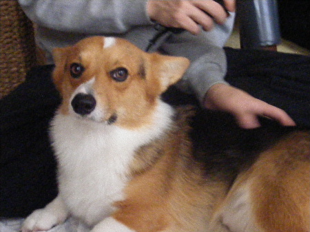 2008_11220029.JPG