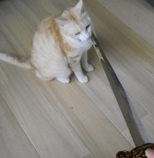 ni3.jpg