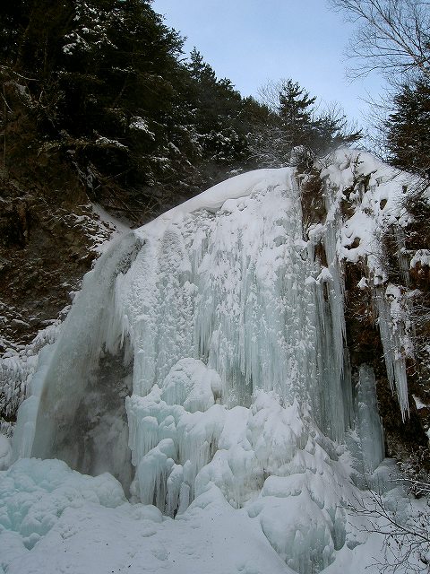 PICT9442.jpg