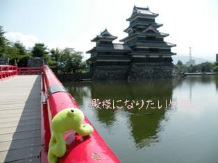 長野 -黒部ダム・松本城ー 111.JPG