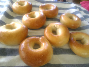 bagel_1