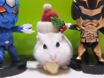 リースサンタ.JPG