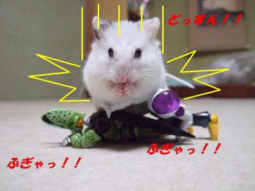 ダイナミックチップ.jpg