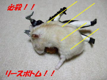 リース.JPG