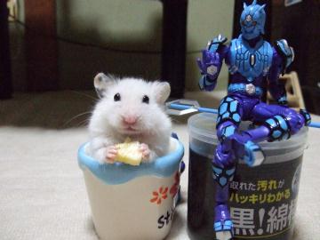 白ハム5.jpg