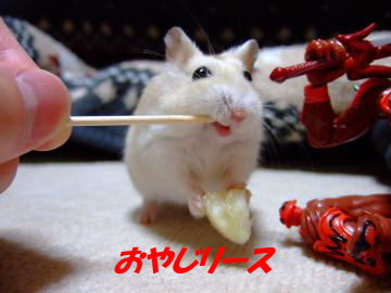 リース３.JPG