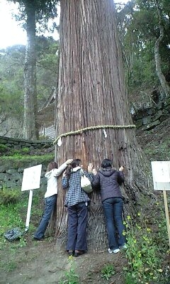 110403_1521~0002.JPG