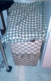 2011-04-09 04.49.56-1.jpg