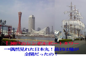 2005-06-09 14:35:21