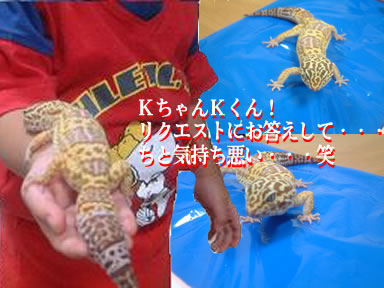 ご主人の趣味・・・恐るべし！笑
