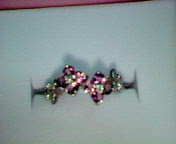 フジミPトルリング