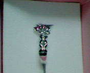 フジミPトルリング横