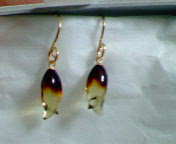 G１琥珀ちゅうりっぷ