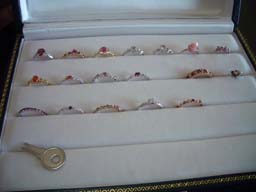 Witリングケース(内側)