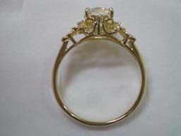 ベーネYGラブラド「フェアリーテール」(横)