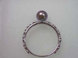 セデュＷＧ淡水お試しセット(横)