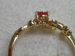 ベーネパパラチアカラーYGアイビー(横)