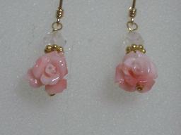 マンモスサンゴ薔薇