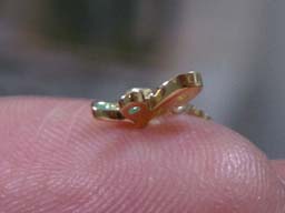 GFYGパライバ蝶(厚み)