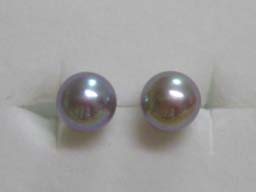 セデュＷＧ淡水お試しセット