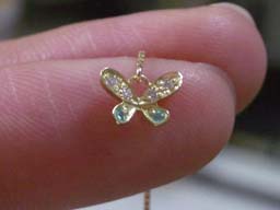 GFYGパライバ蝶(大きさ)