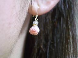 マンモスサンゴ薔薇着用