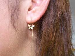 GFYGパライバ蝶着用